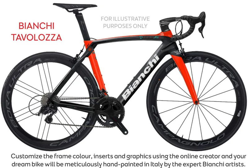 2021 Bianchi Oltre XR4  Non Disc - Frameset-2